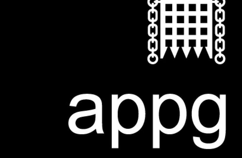 APPG LOGO